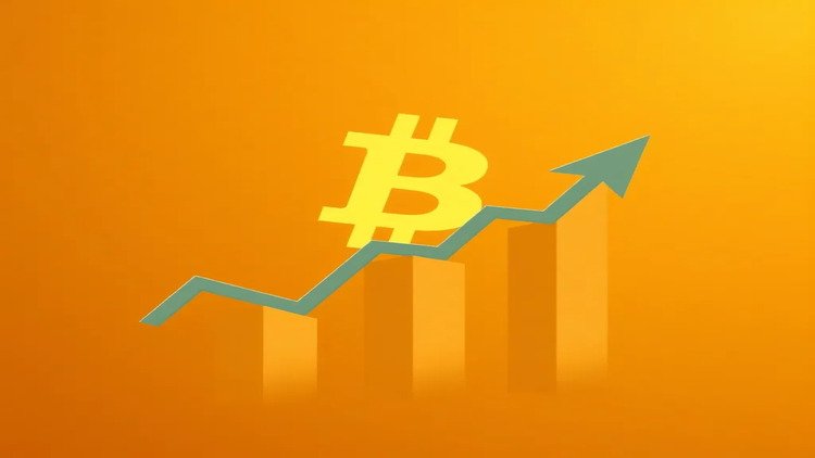 Coinbase stock and app rankings soar amid crypto market resurgence